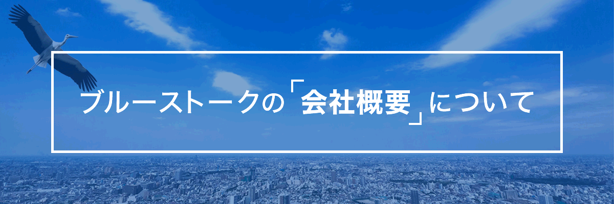 ブルーストークの会社概要について