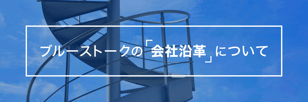 ブルーストークの会社沿革について